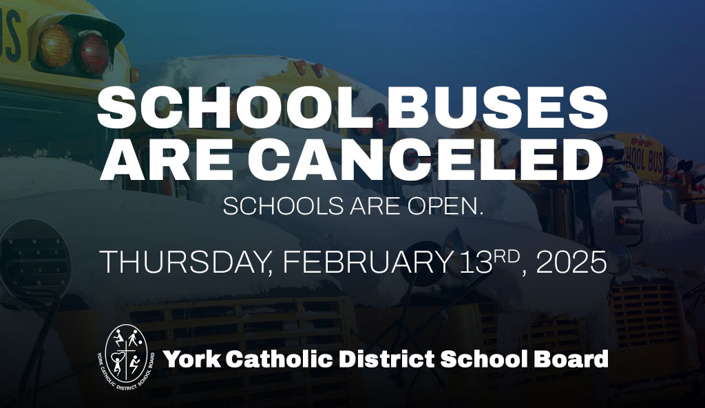 school buses are canceled