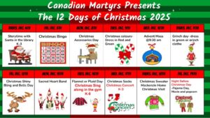 12 Days of Christmas Spirit